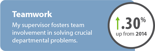 Career_Teamwork-2018.png