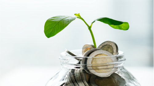 Saving vs. Investing:&nbsp;What's the Difference?