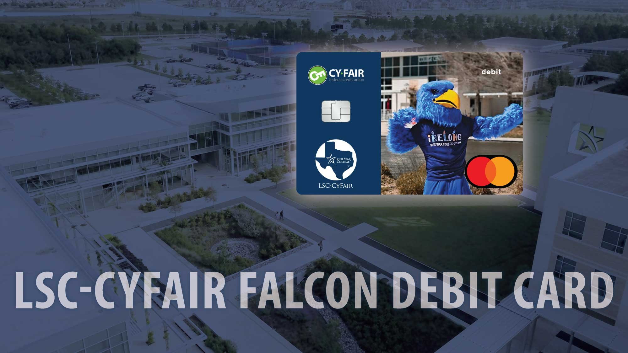 Falcon Card 
