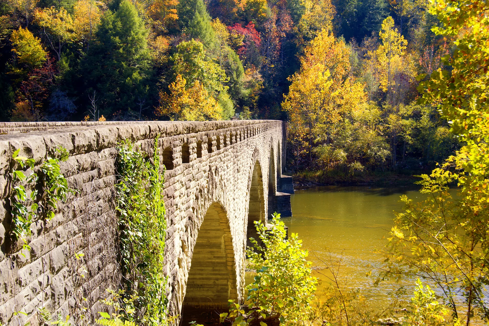 shutterstock_16431352.jpg