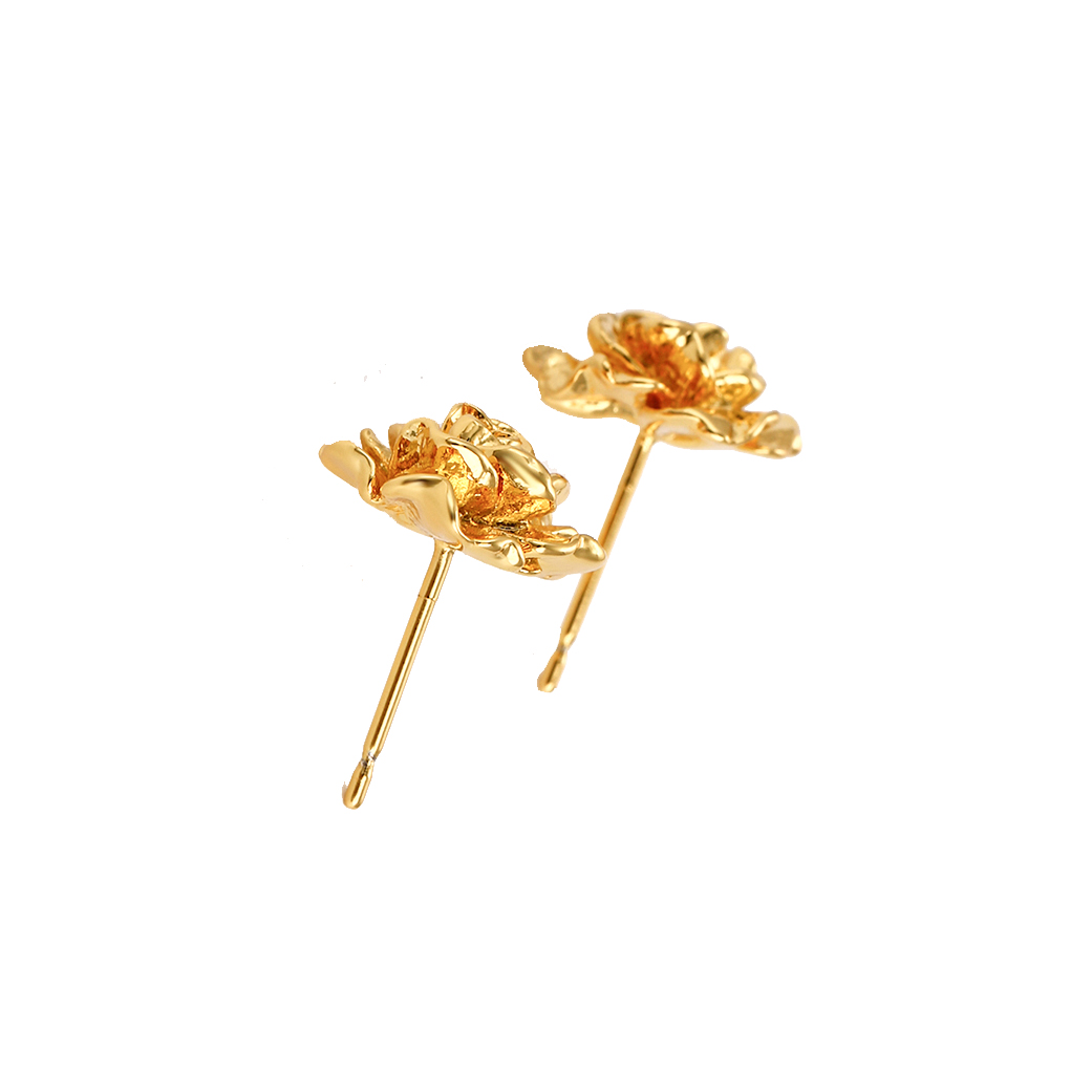 aurora burst studs 2.jpg