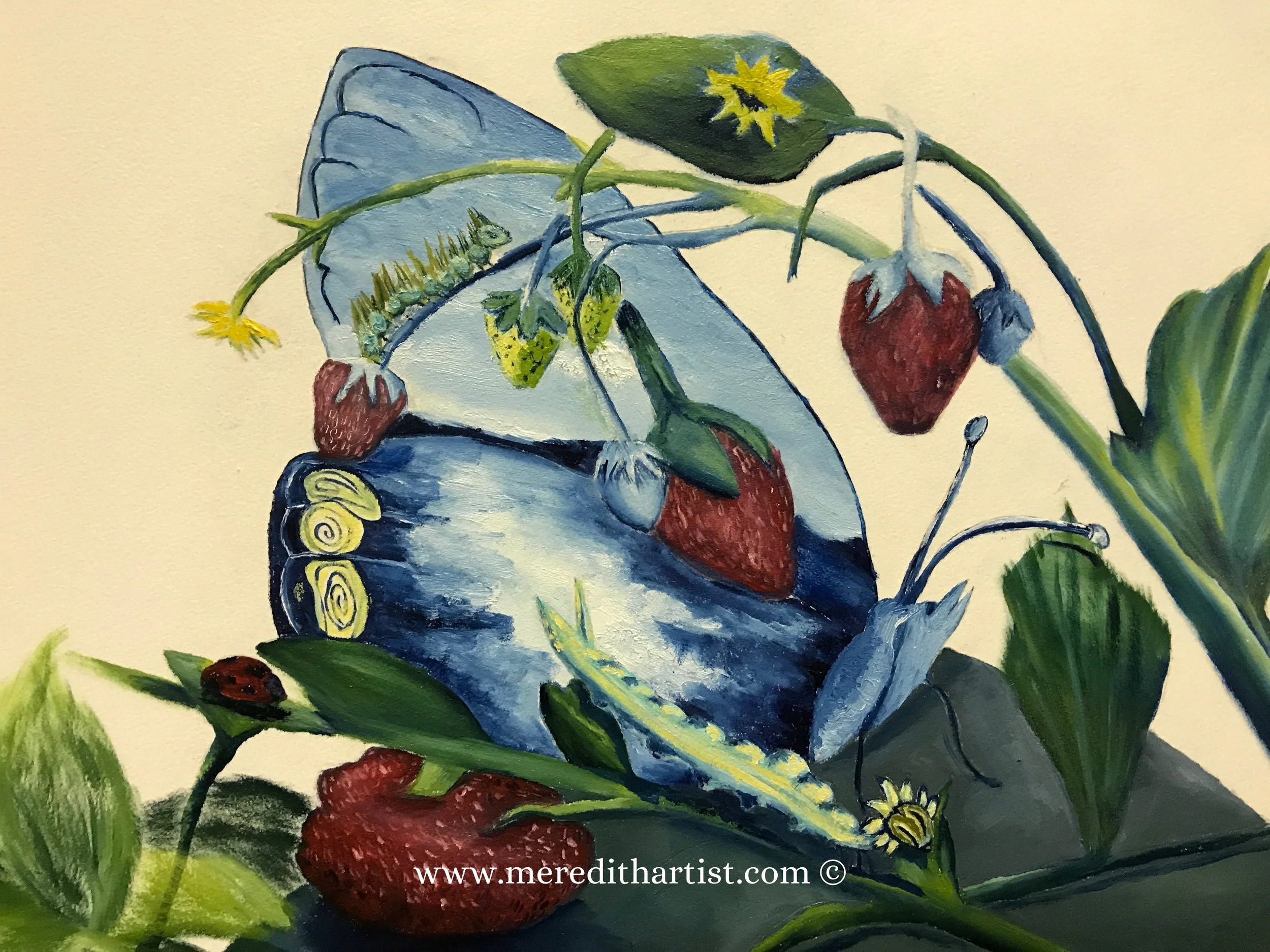 Study for Strawberries and Butterflies 1