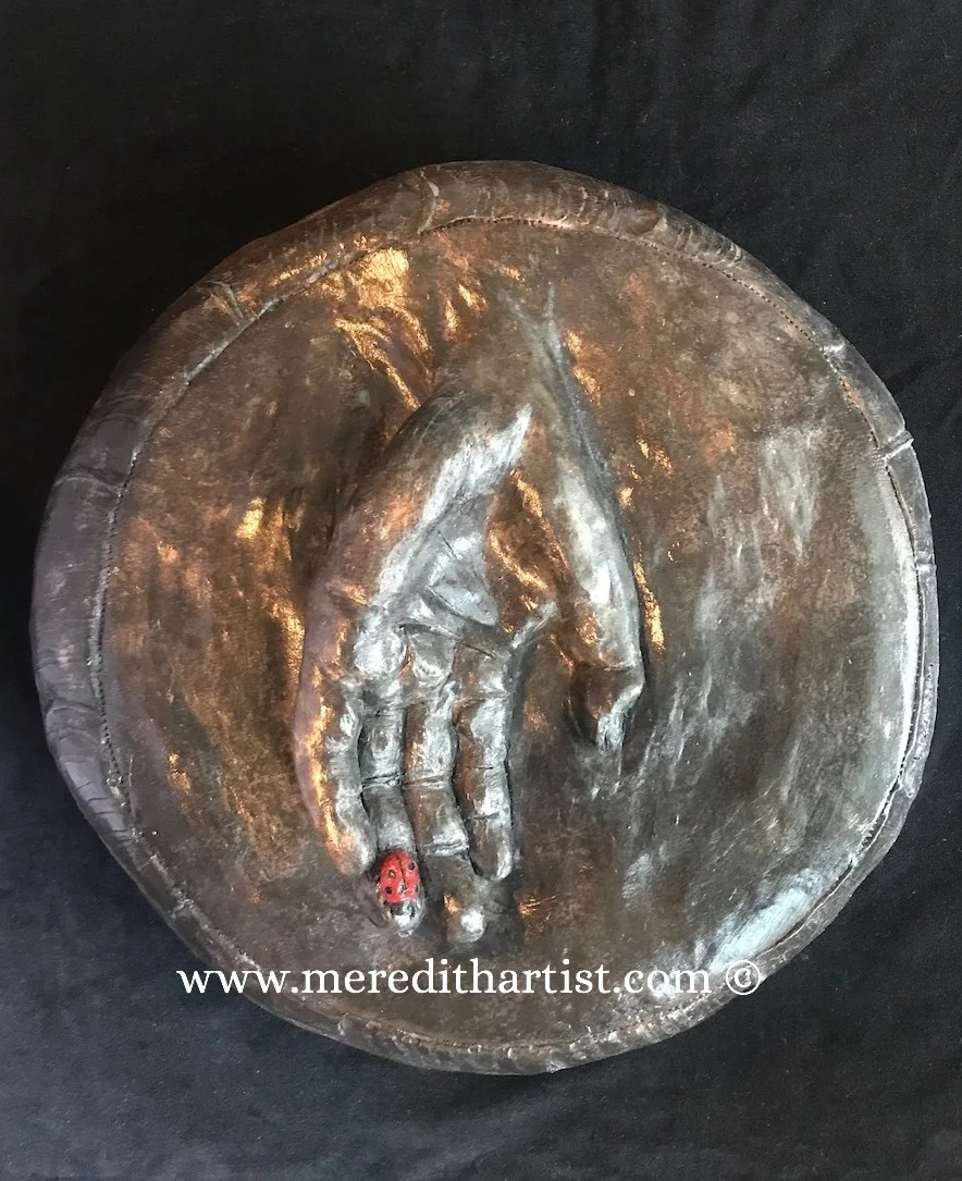 Meditation Pillow Series: Holding a Ladybug