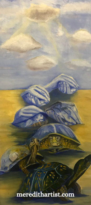 Samputa Turtle