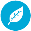 Leaf_Icon_100x100.png