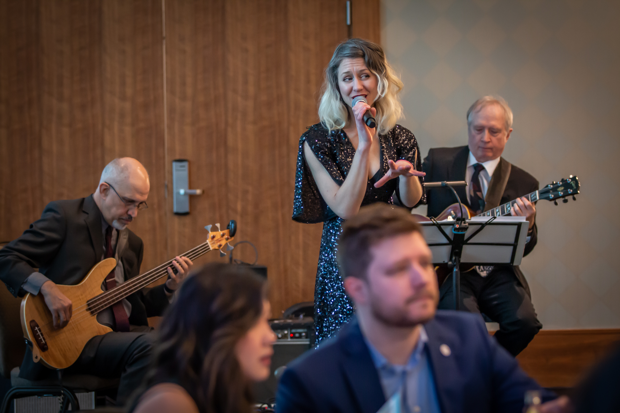 Jazz trio Slinki performs with Andrew Stack