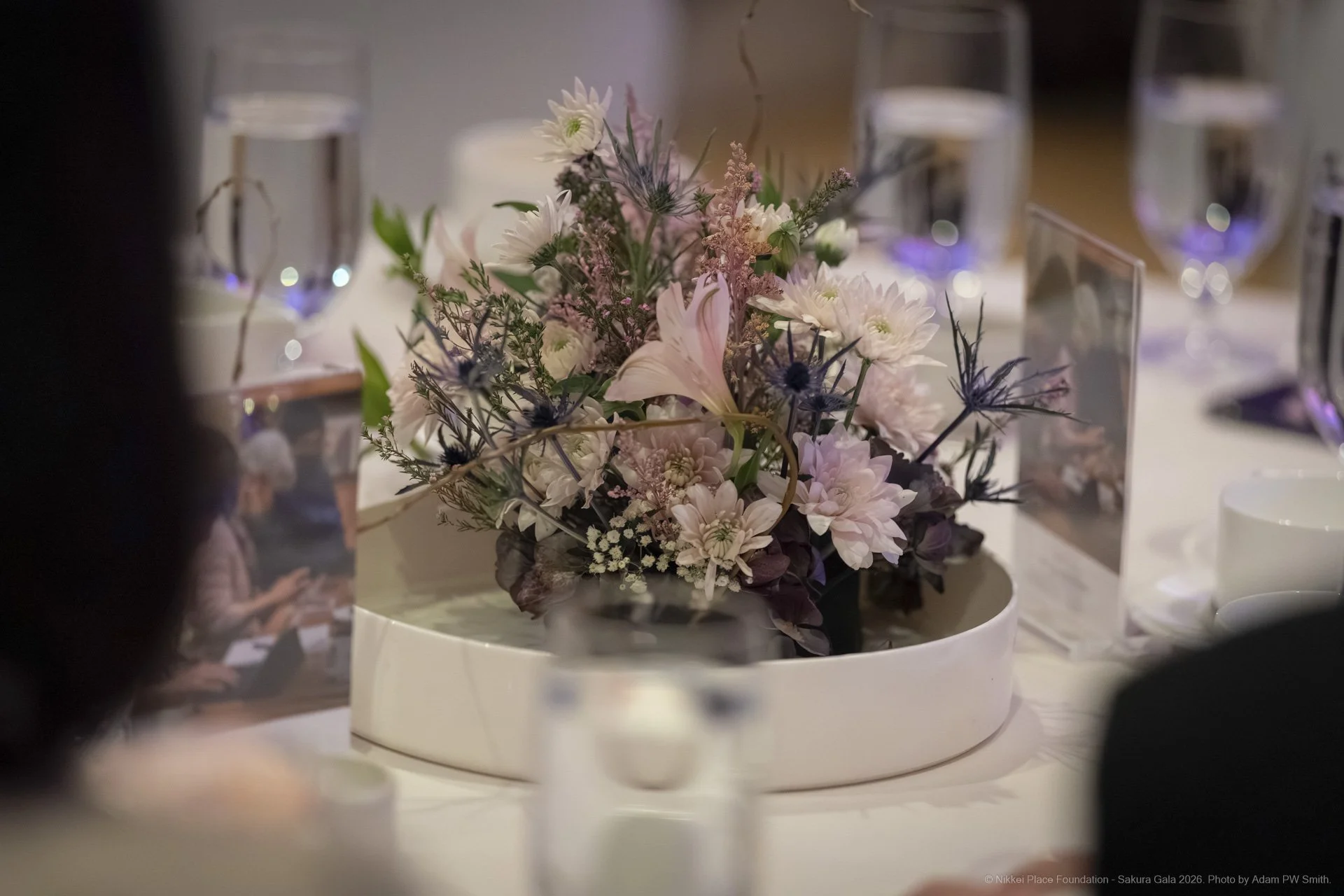 SakuraGala_2026_1920px_AdamPWSmith-51.jpg