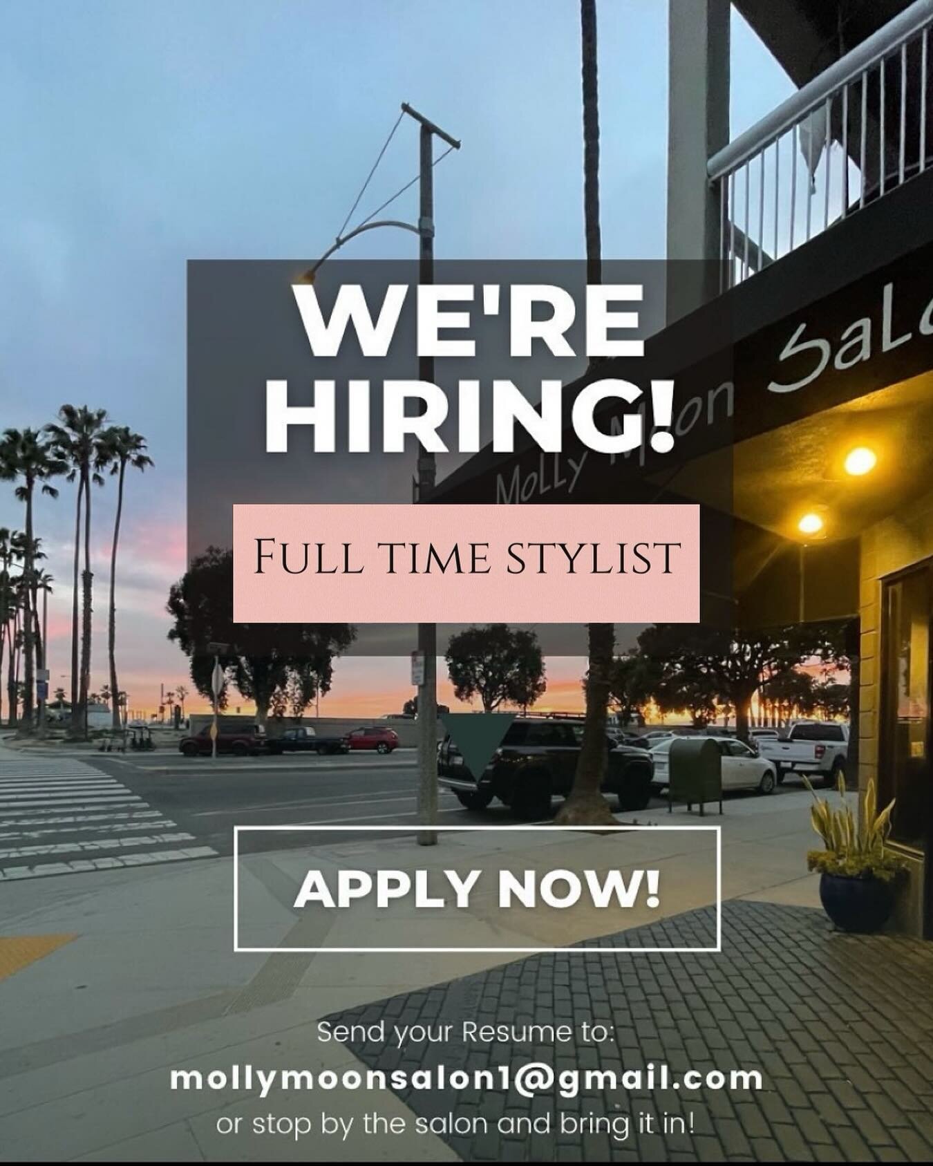 🚨We are hiring!!🚨
If you are interested in being part of the Molly Moon Salon team and working with a great group of professionals send over your resume to mollymoonsalon1@gmail.com and we will get in contact with you.