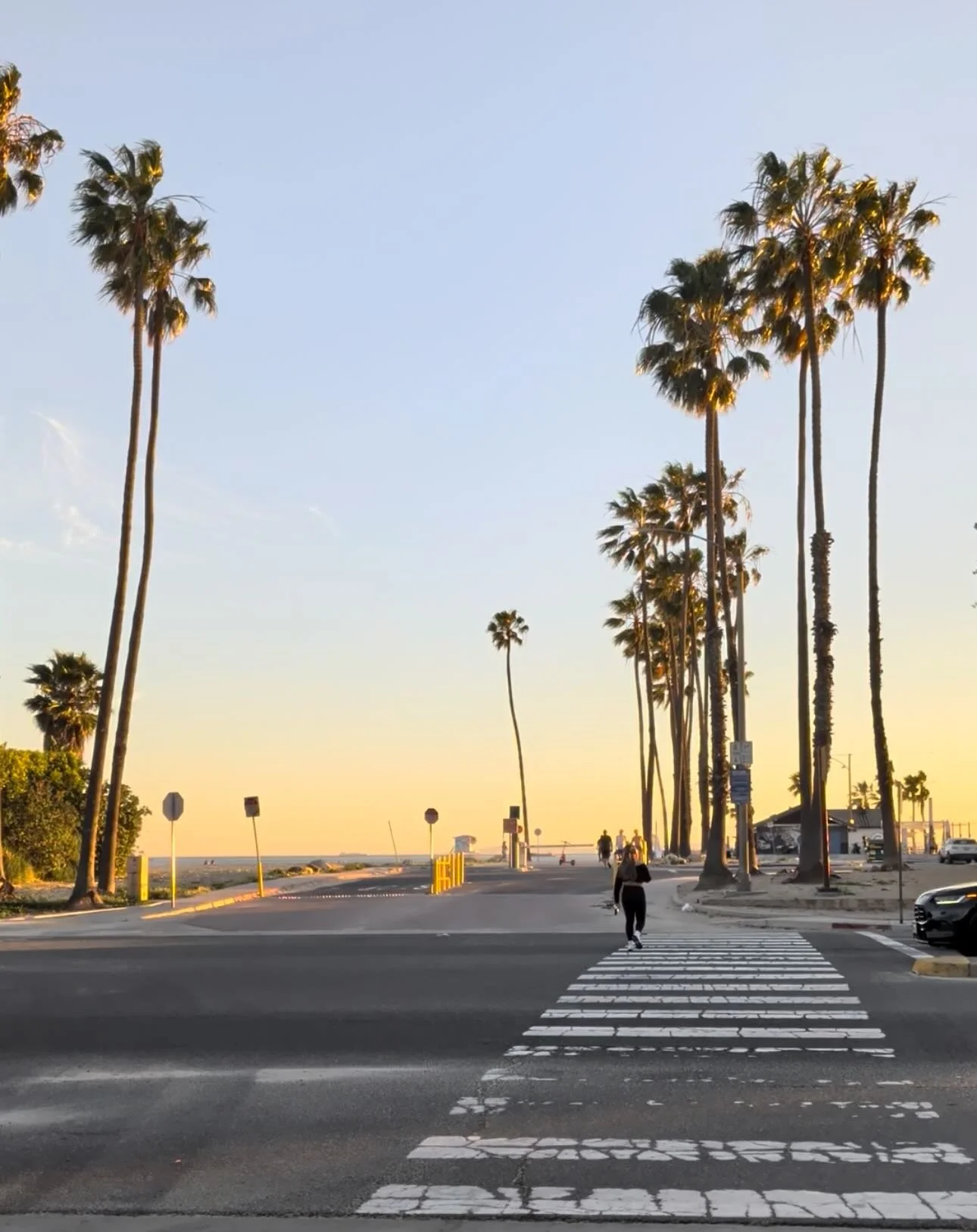 A little bit of Long Beach beauty inside and outside the salon 🌴
Fresh color, fresh cuts, and views we never get tired of✂️🌅
Happy earth day 🌎 

#hairstylist #oceanviews #hairsalon #mollymoonsalon #longbeach