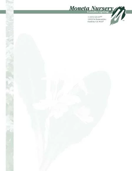 MONETA_LETTERHEAD.jpg