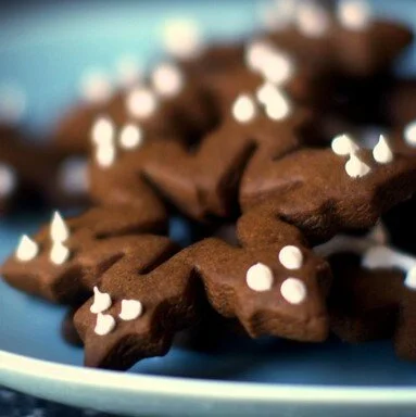 Spicy Gingerbread Cookies Smitten Kitchen.jpg