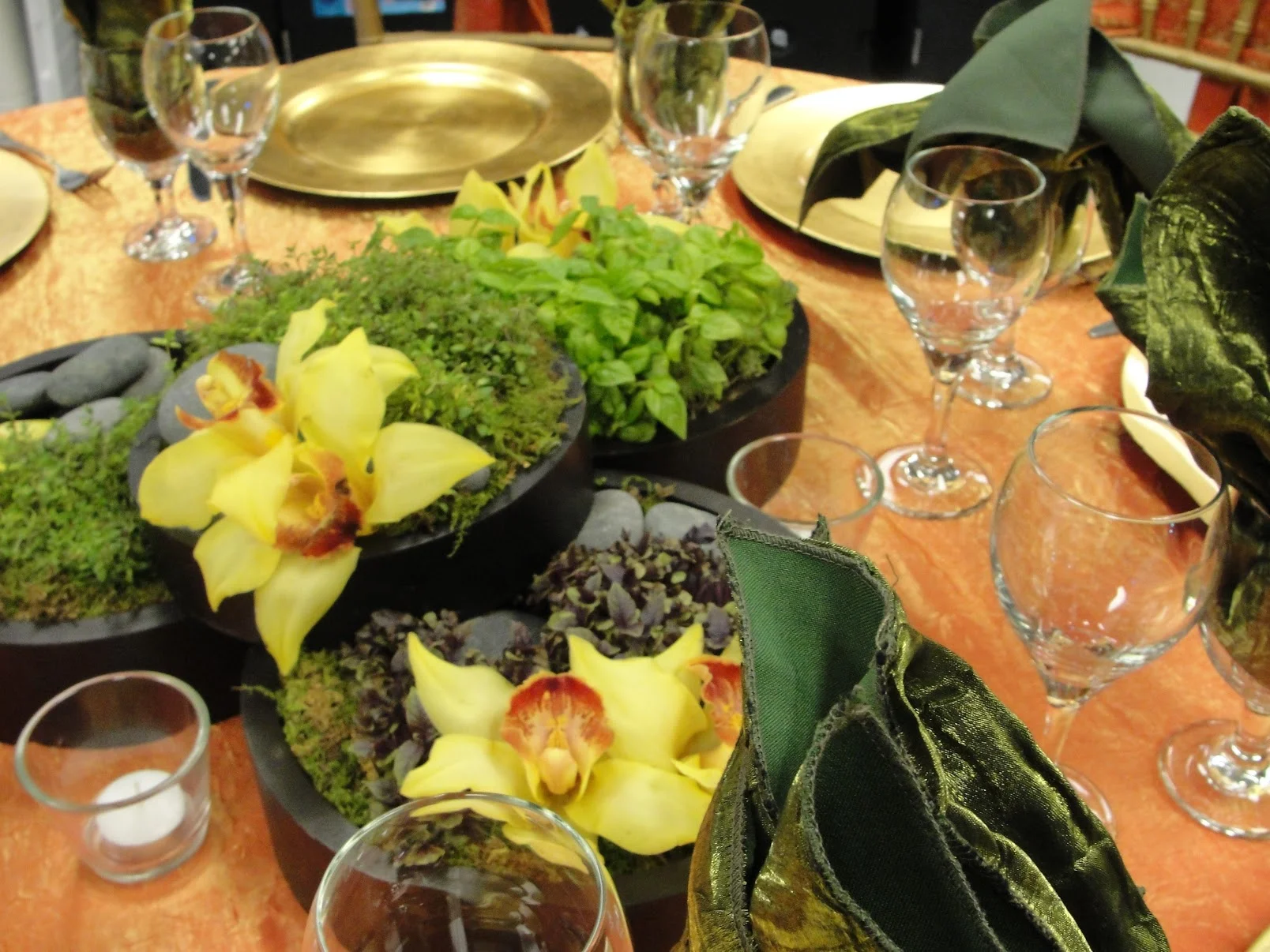 March 10 2010 076.JPG