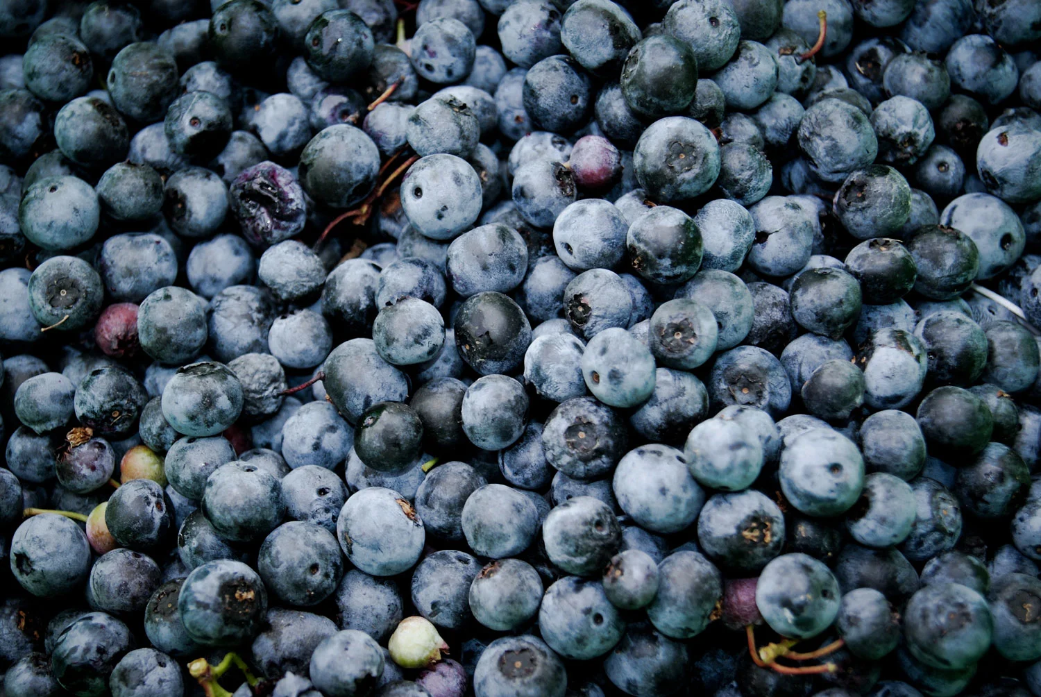 syd-wachs-128767-unsplash.jpg