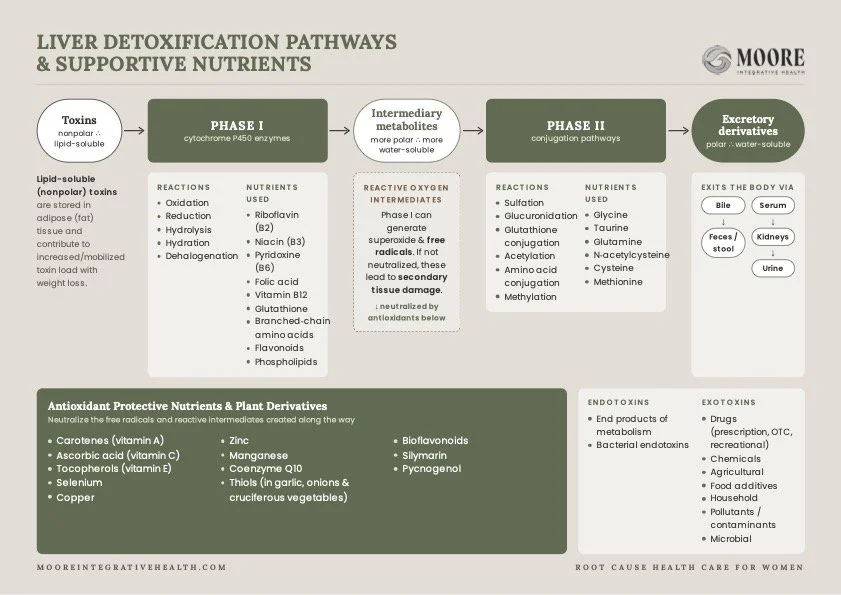 Phase 1 and Phase 2 Liver Detoxification Pathways