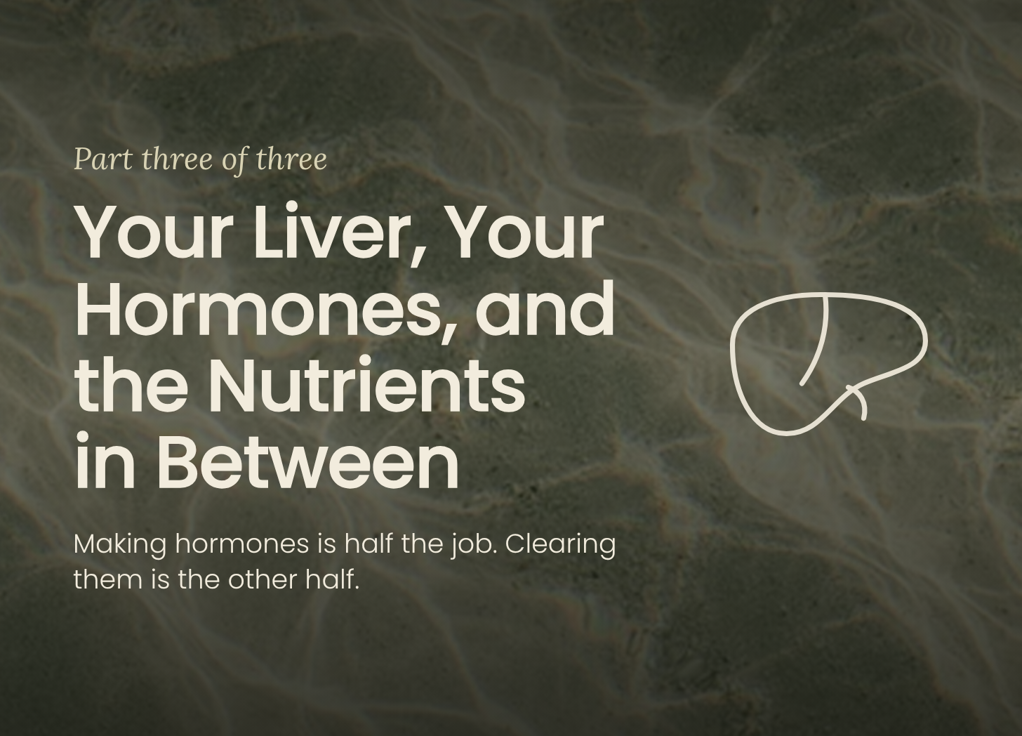 Line drawing of a liver on a dark water background, cover for an article on liver detoxification and hormone balance