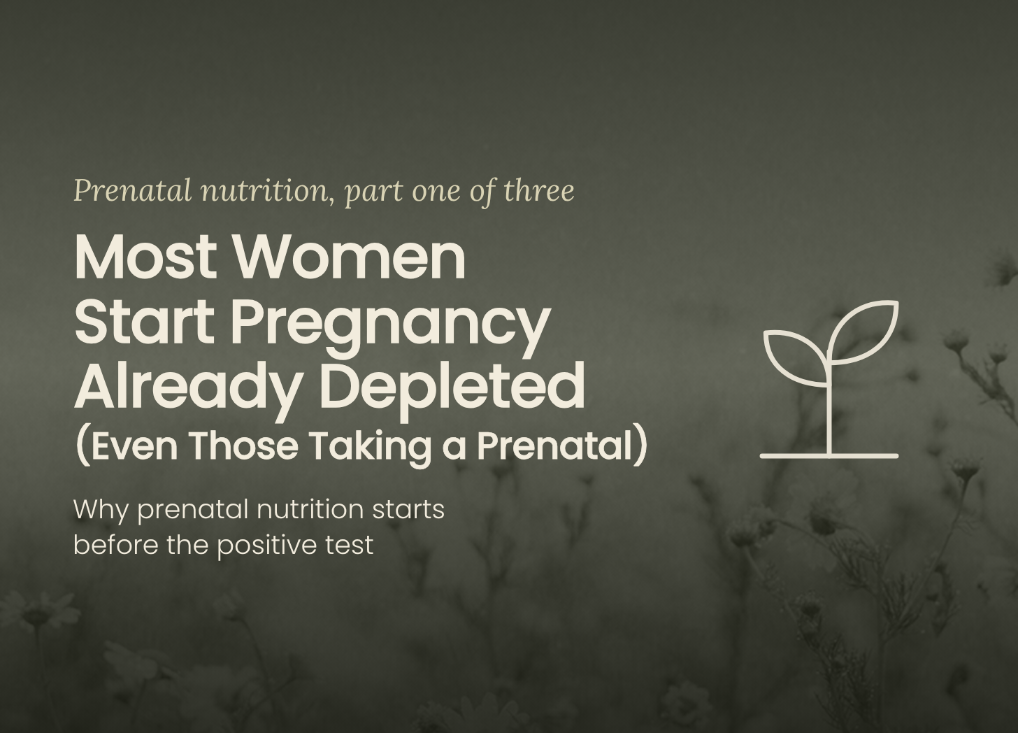 Cover for an article on nutrient deficiencies before pregnancy and preconception nutrition