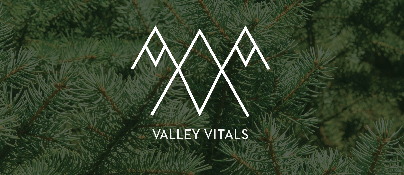 Valley Vitals.png
