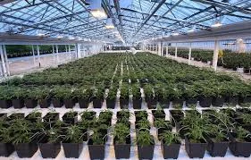 Bliss Co. Facility