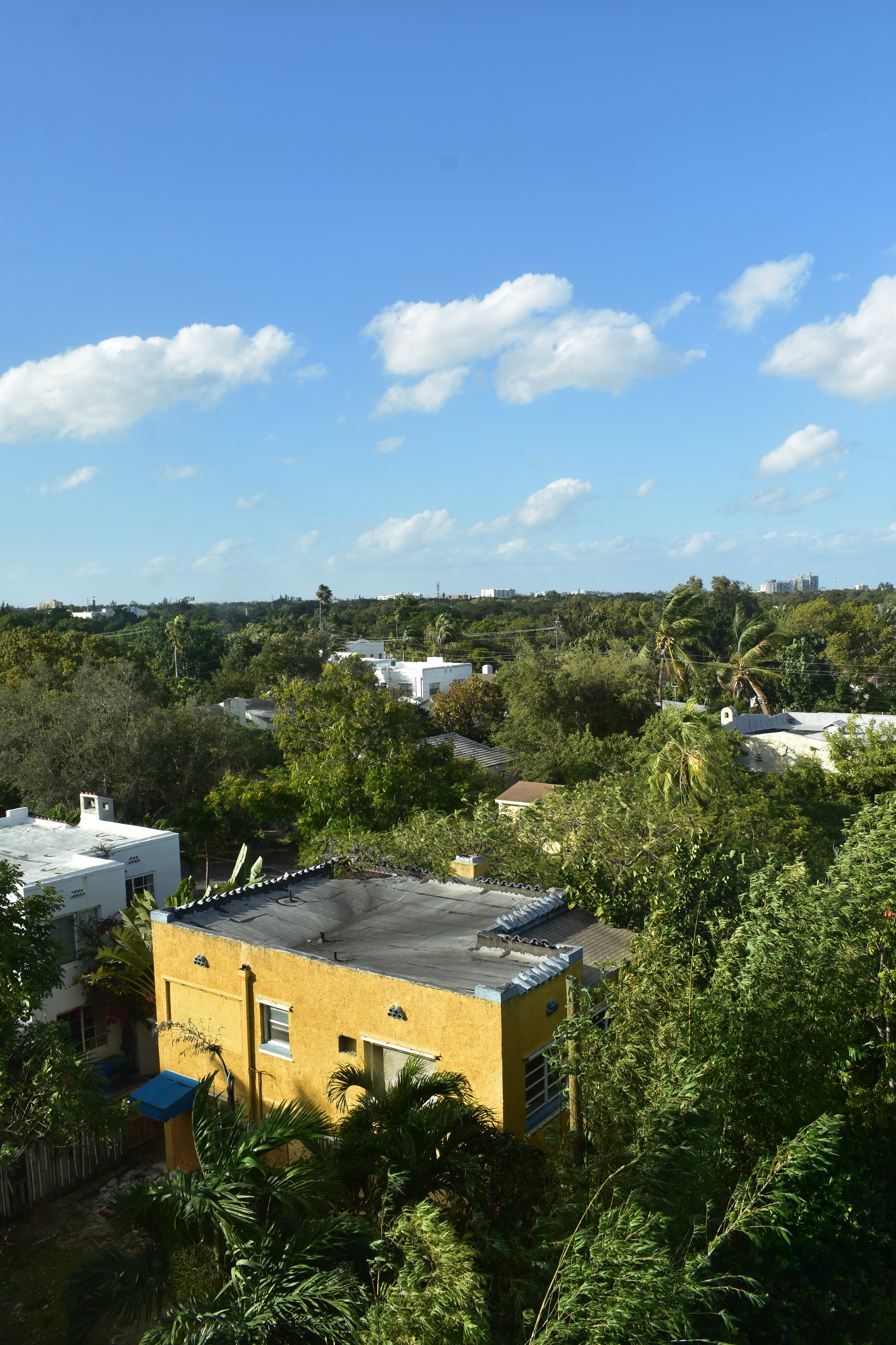DSC_0199.JPG
