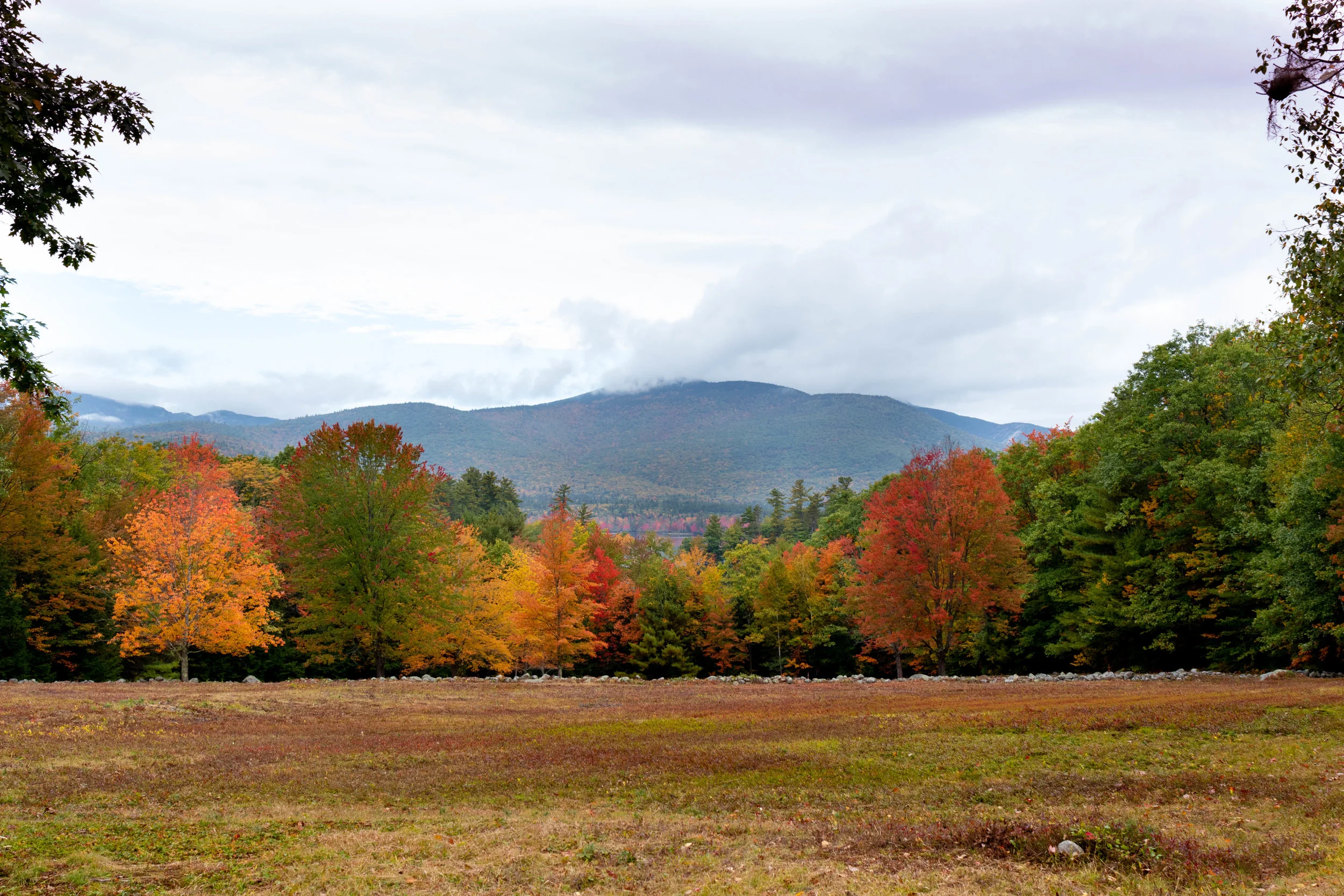 Landscape photography of the White Mountains during peak foliage season in North Conway, NH on the Kancamagus Highway photographed by Vision Balm in Charleston, SC.