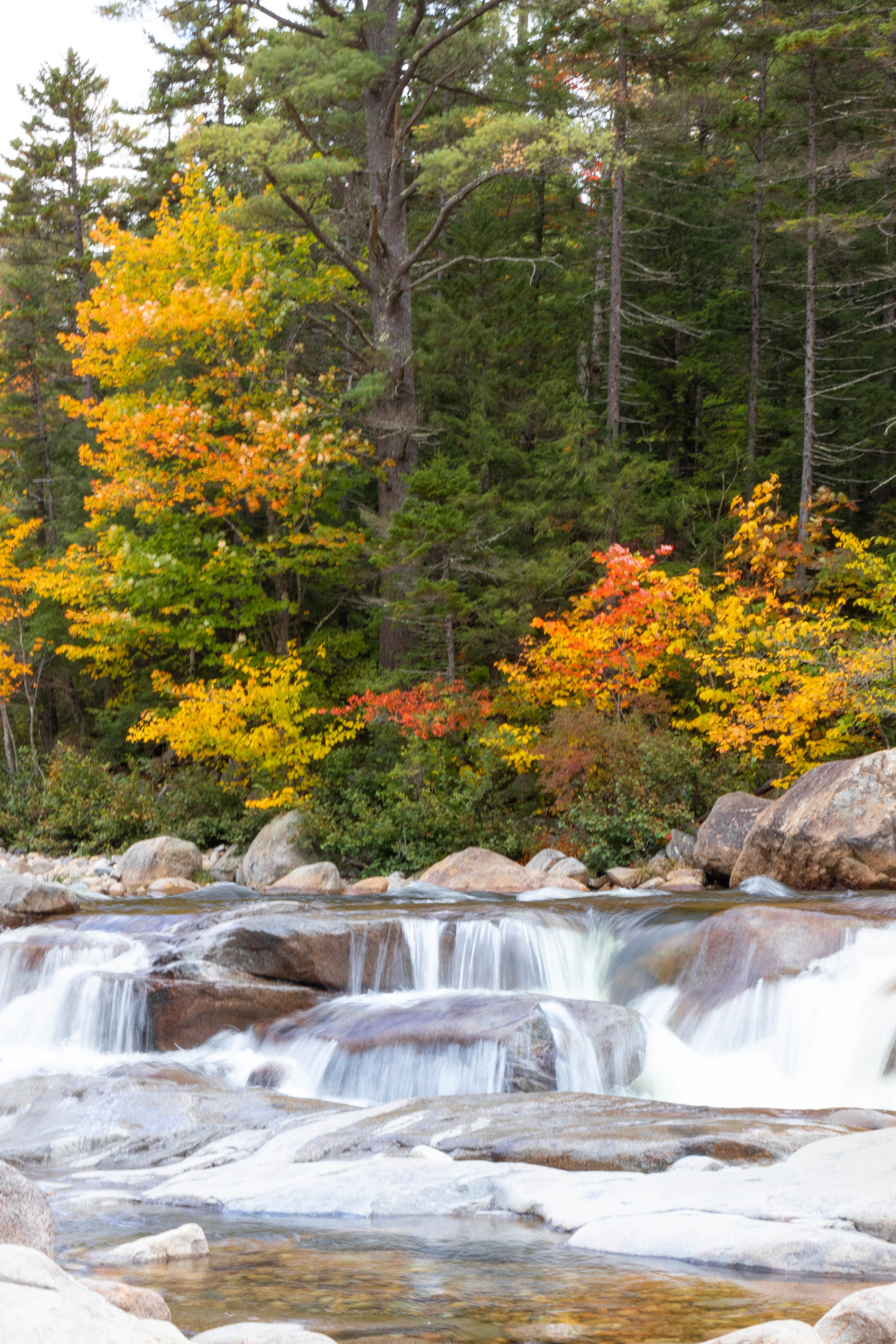 Landscape photo of a river along the Kancamagus Highway in North Conway, New Hampshire in fall by Vision Balm in Charleston, SC.