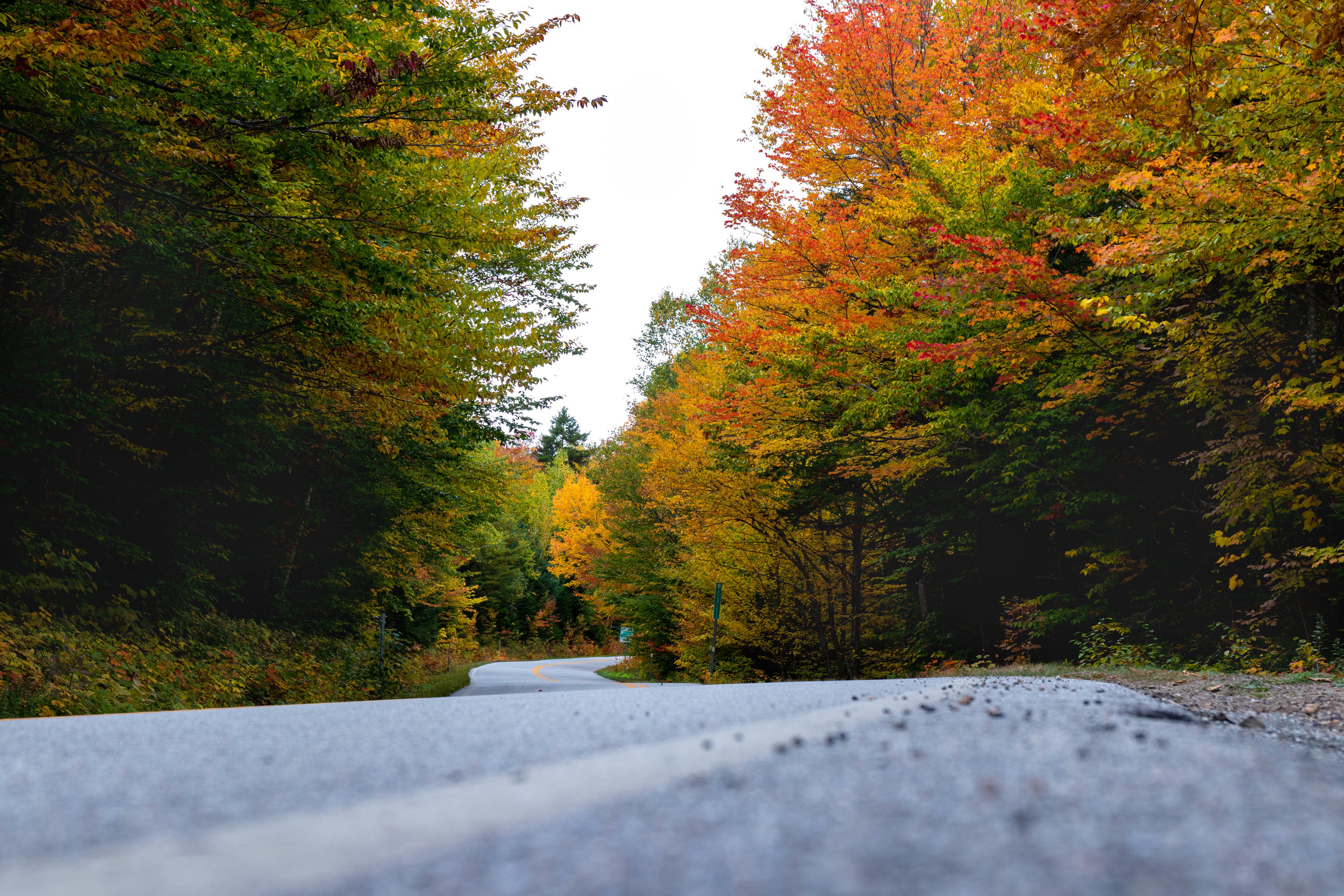 Landscape photo along the Kancamagus Highway in North Conway, New Hampshire in fall by Vision Balm in Charleston, SC.