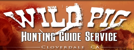 Wild Pig Hunting Guide Service