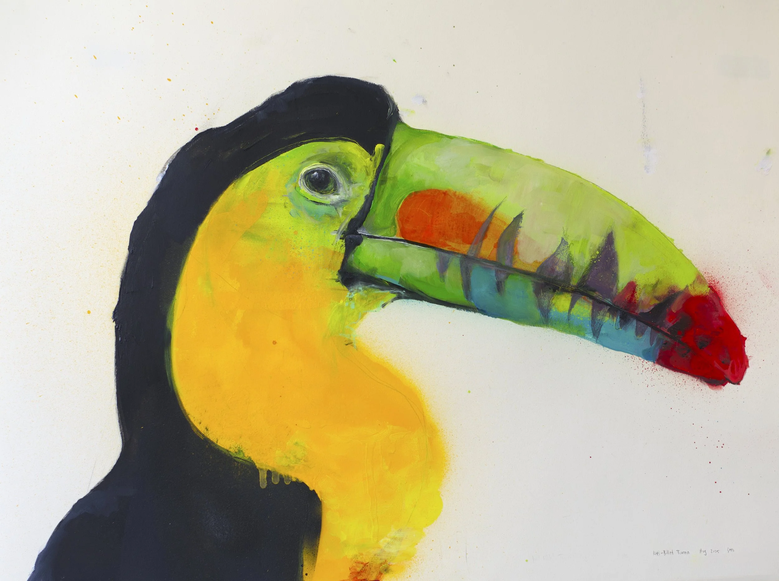 keel-billed toucan 300.jpg