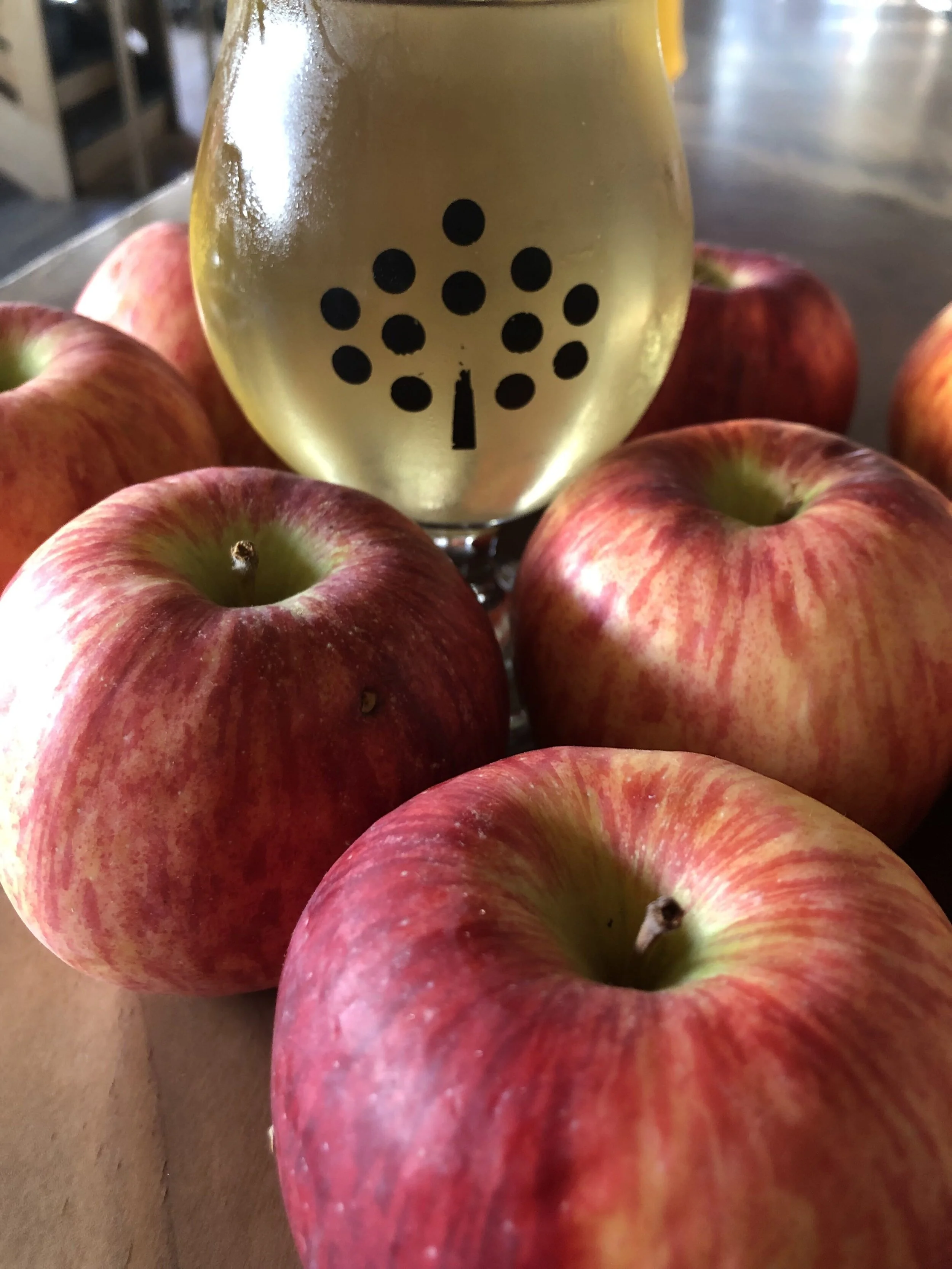 2020 Winter Conference POSTPONED