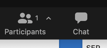 Participants Screen Shot