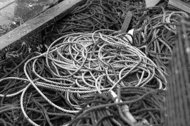 _DSC1721.jpeg