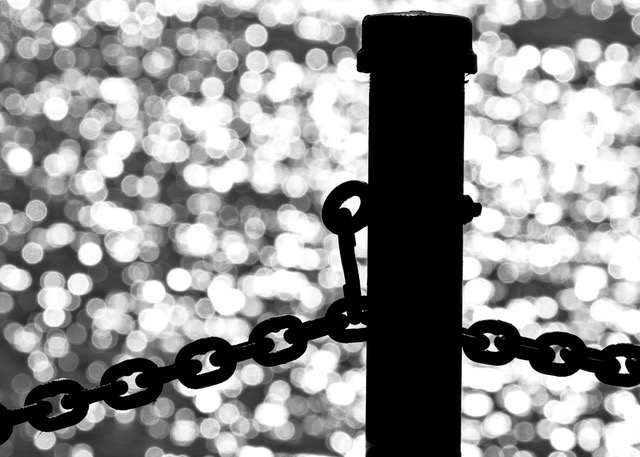 _DSC1387.jpeg