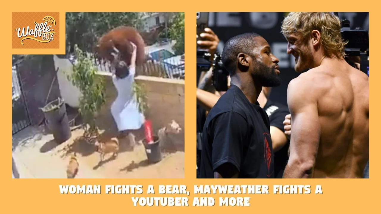 Woman Fights Bear, Mayweather vs. Paul, Conjuring 3, Among Us Chicken Nugget