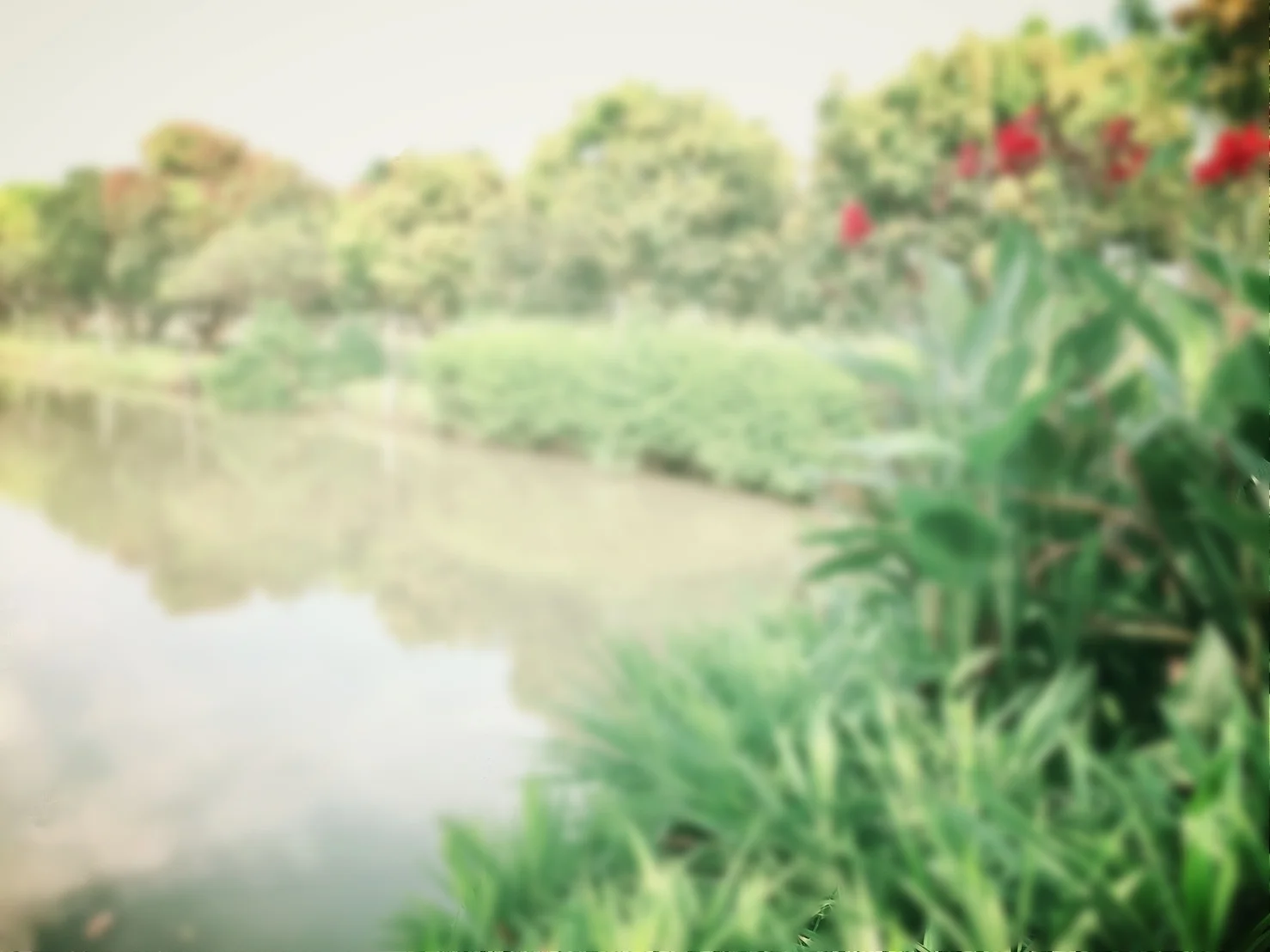 Suan Ampond Pics_181014_0032.jpg