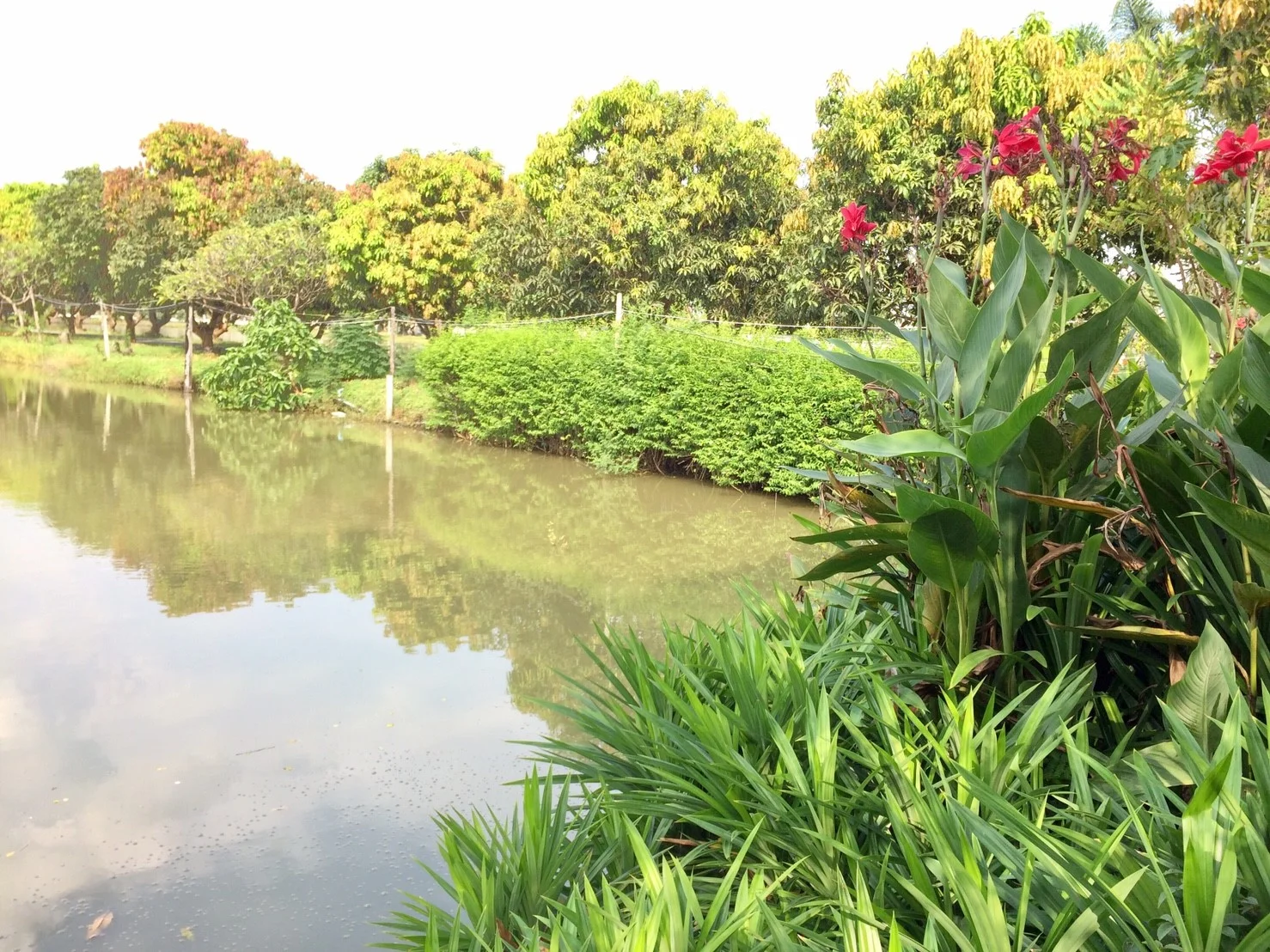 Suan Ampond Pics_181014_0032.jpg