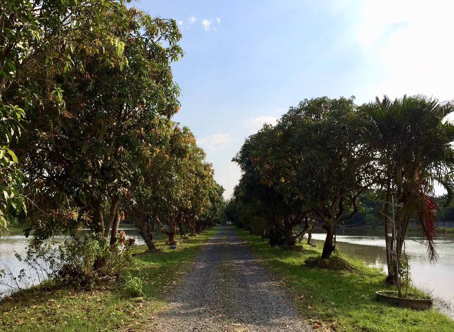 Suan Ampond Pics_181014_0054.jpg