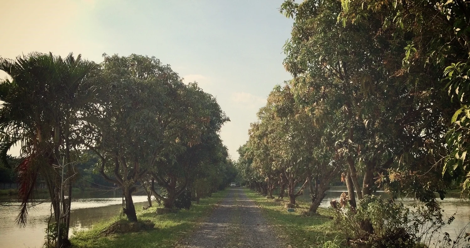 Suan Ampond Pics_181014_0054.jpg