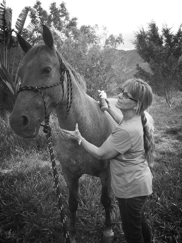 Ali's Horse Care