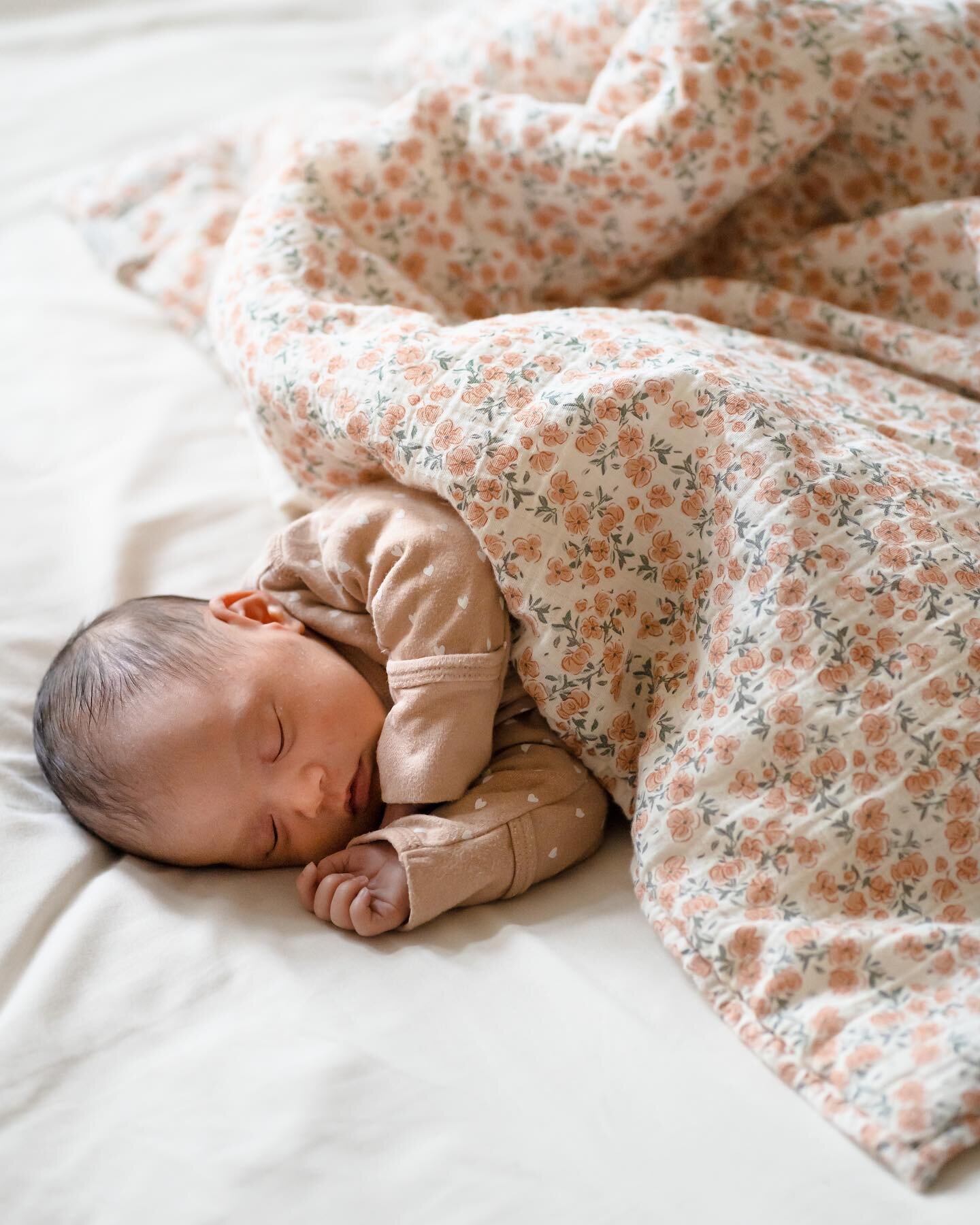 Profiter du seul dodo que Lila-May n&rsquo;a pas fait sur moi ces 20 derniers jours pour la prendre en photo 😍 

Se souvenir pour toujours de ses petites mains aux longs doigts (h&eacute;ritage familial), de sa bouche et de son nez parfaits, de ses 