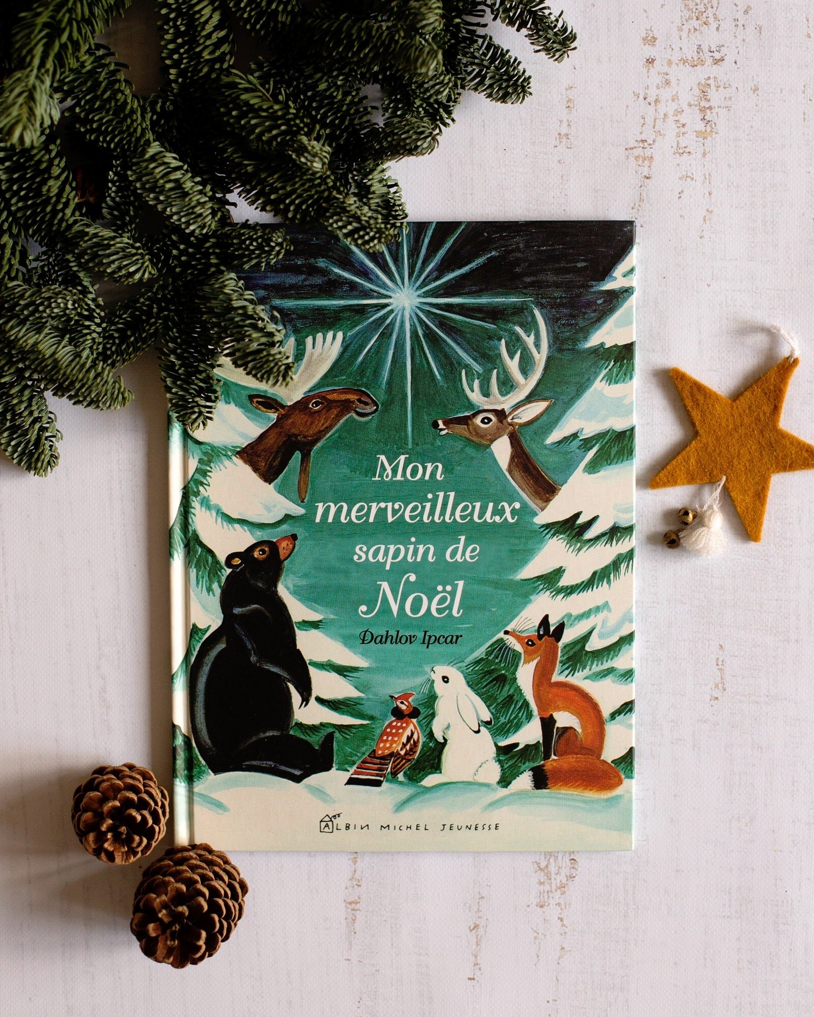 15 livres jeunesse pour célébrer Noël — Noémie Memories