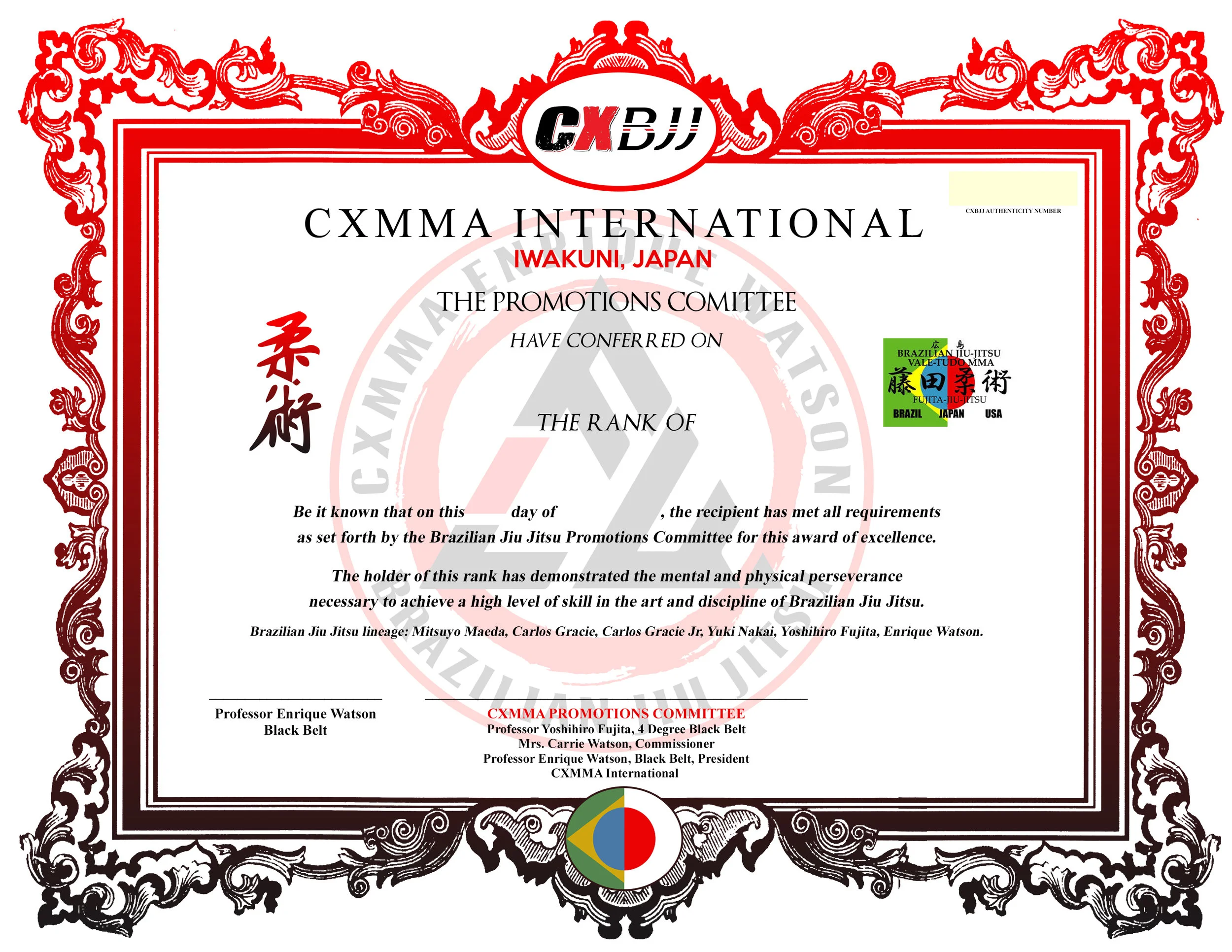 Additional Official Promotion Certificate