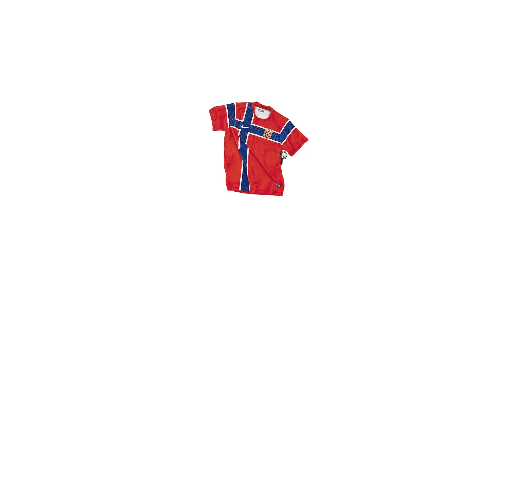 NorwegianViking2026forside.jpg