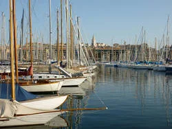 c7d73828c4.jpg