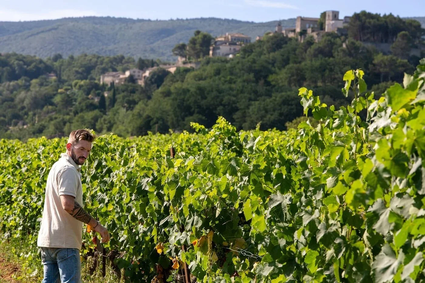 Domaine de la Citadelle, 601 Route de Cavaillon, 84560 Ménerbes
