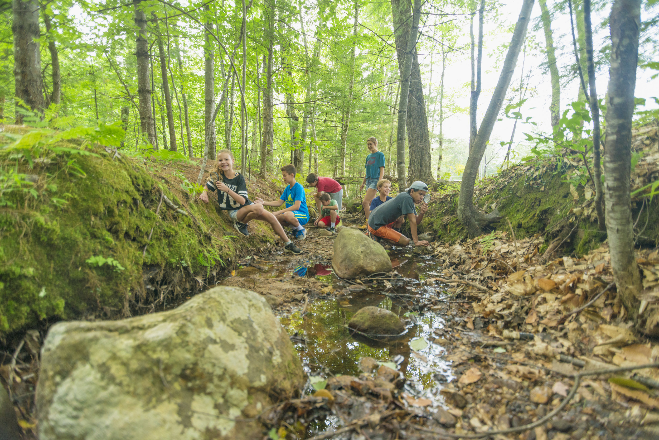 Nature's Classroom