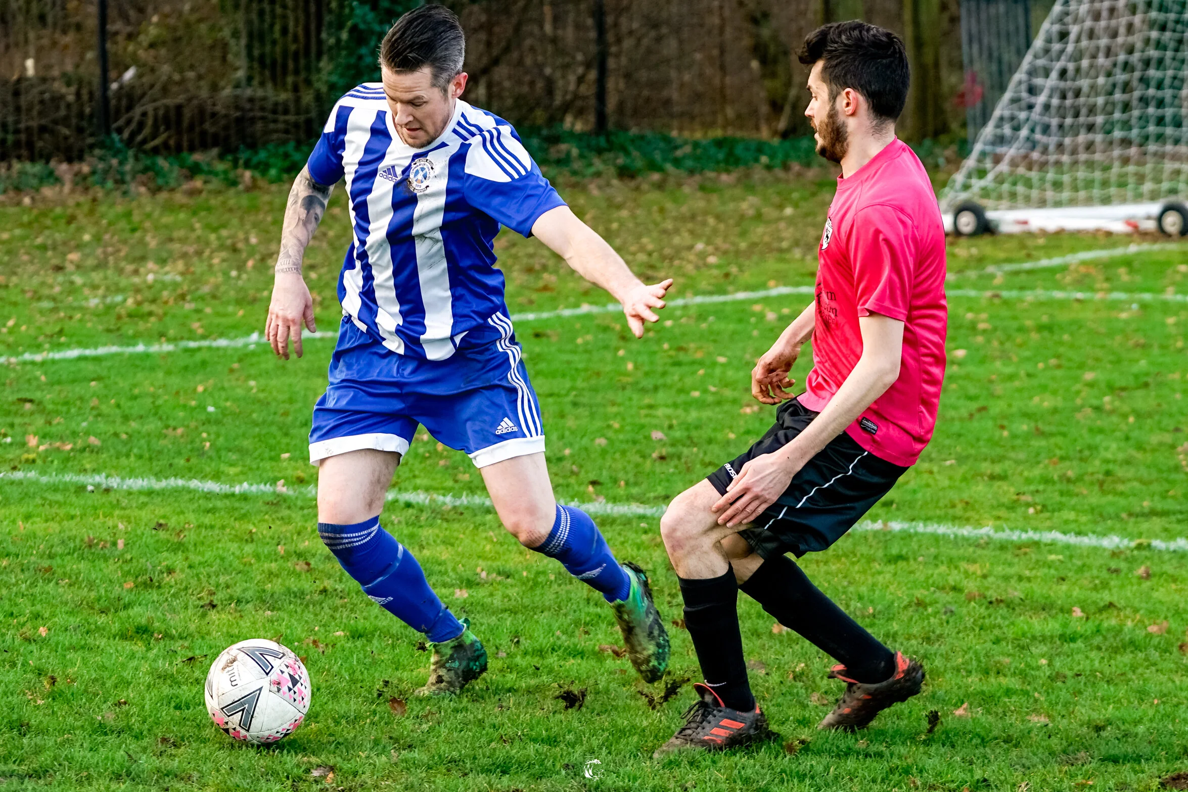 2020-01-12ILCE-7RM2_GOW9364_[2x3]Low-WM-sRGB.jpg