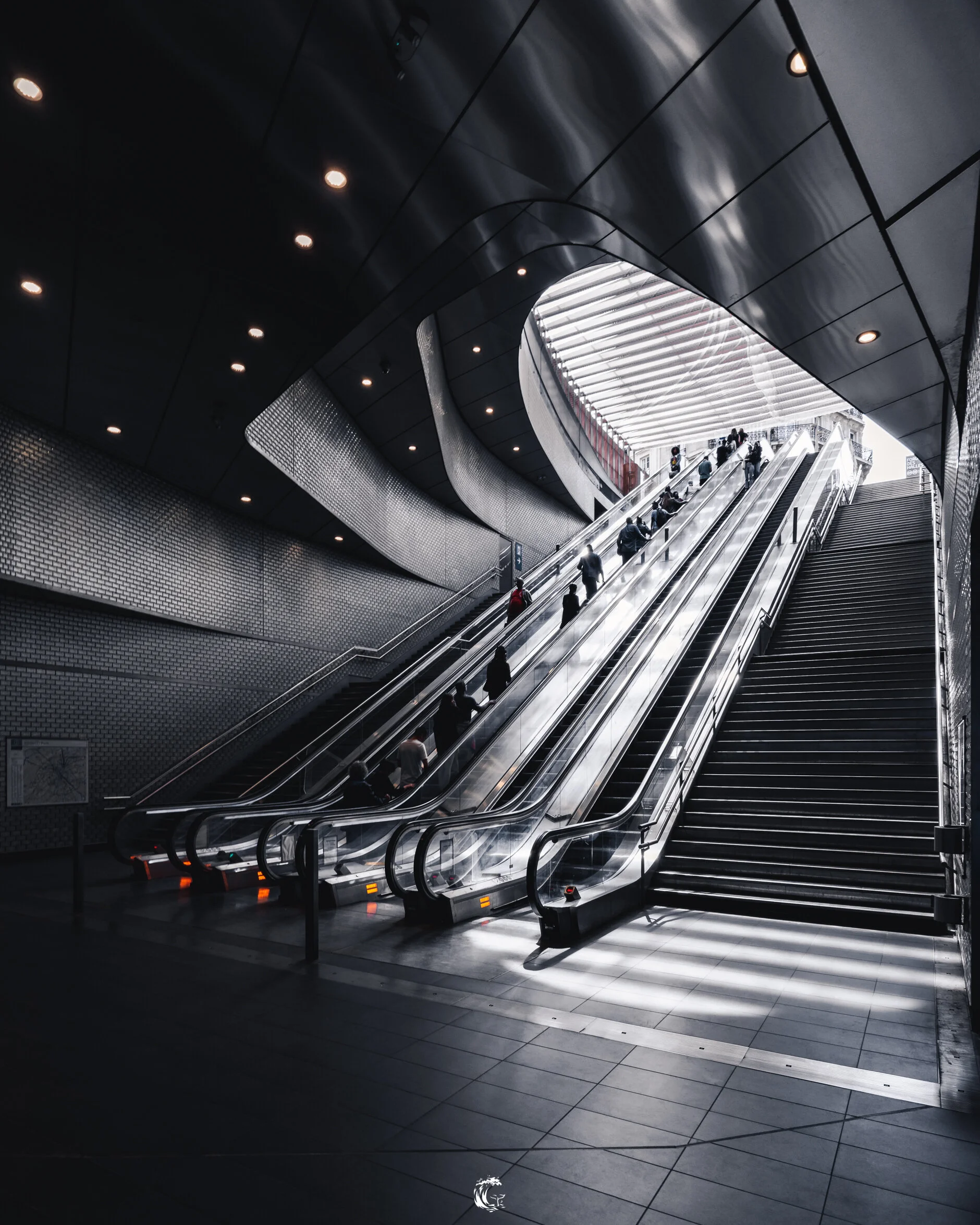 MetroSilver_2019-08-16ILCE-7RM2_GOW8853_[4x5]Low-WM-sRGB.jpg