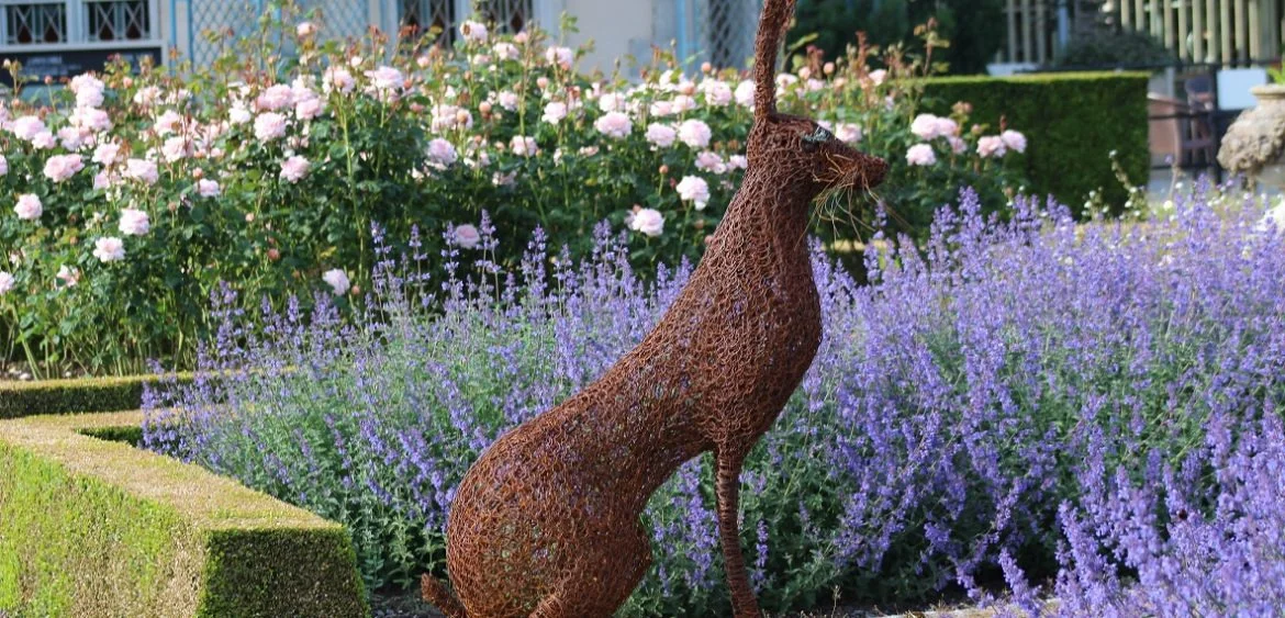 Hare.jpg