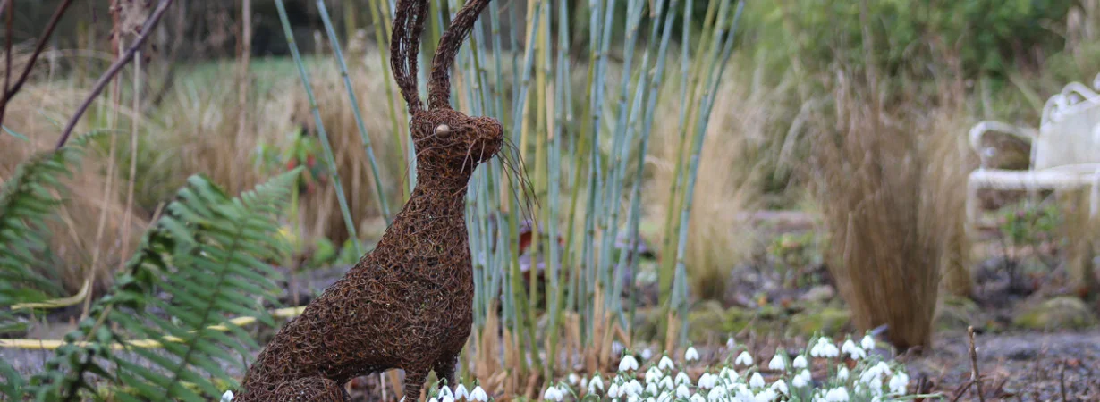 Emma-Jane-Rushworth-Hare-Garden-2017.jpg