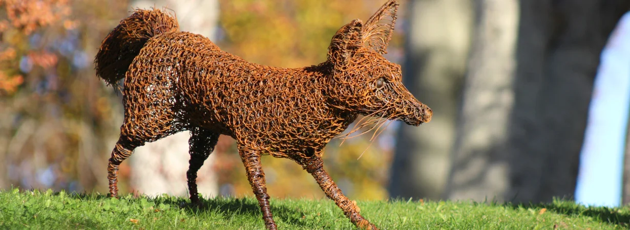 Emma-Jane-Rushworth-Wire-sculpture-fox-1.jpg